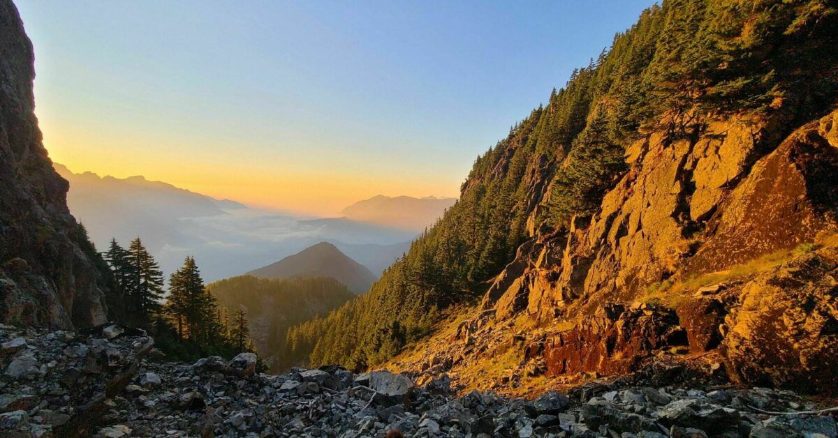 Washington Cabins For Rent Tree Line Vacation Rentals